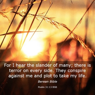 Picture 03 - Psalm 31:13 BSB - For I hear the slander of many; there is terror - Bible Verse Picture