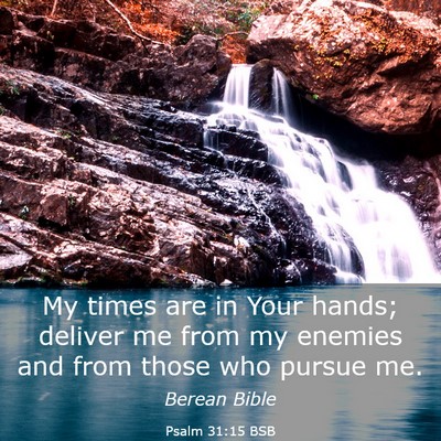 Picture 03 - Psalm 31:15 BSB - My times are in Your hands; deliver me from my - Bible Verse Picture