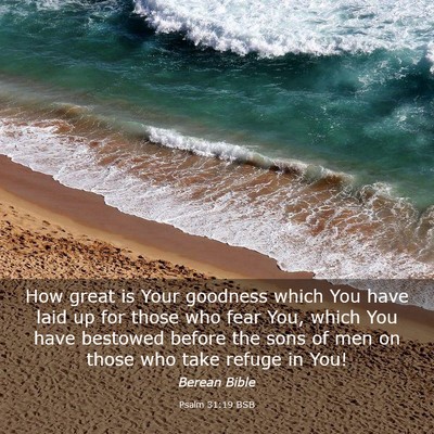 Picture 03 - Psalm 31:19 BSB - How great is Your goodness which You have laid up - Bible Verse Picture