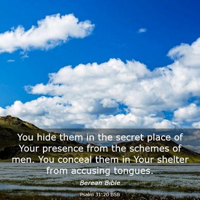 Picture 03 - Psalm 31:20 BSB - You hide them in the secret place of Your - Bible Verse Picture