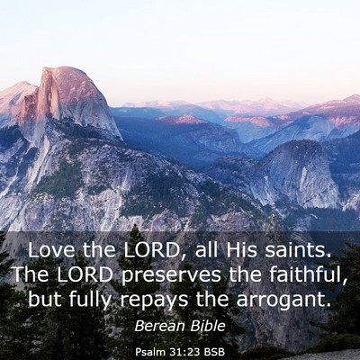 Picture 03 - Psalm 31:23 BSB - Love the LORD, all His saints. The LORD preserves - Bible Verse Picture