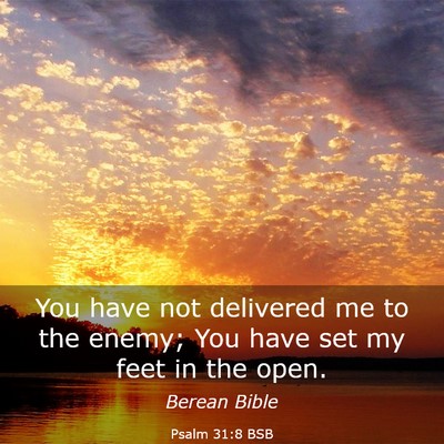 Picture 03 - Psalm 31:8 BSB - You have not delivered me to the enemy; You have - Bible Verse Picture