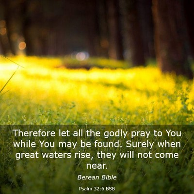 Picture 03 - Psalm 32:6 BSB - Therefore let all the godly pray to You while You - Bible Verse Picture
