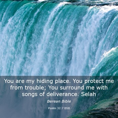 Picture 03 - Psalm 32:7 BSB - You are my hiding place. You protect me from - Bible Verse Picture
