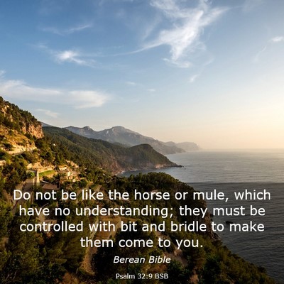 Picture 03 - Psalm 32:9 BSB - Do not be like the horse or mule, which have no - Bible Verse Picture