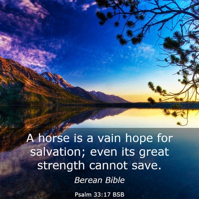 Picture 03 - Psalm 33:17 BSB - A horse is a vain hope for salvation; even its - Bible Verse Picture