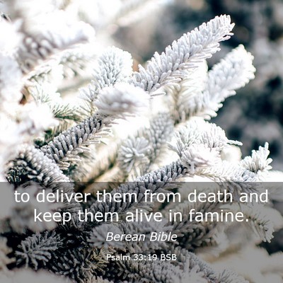 Picture 03 - Psalm 33:19 BSB - to deliver them from death and keep them alive in - Bible Verse Picture