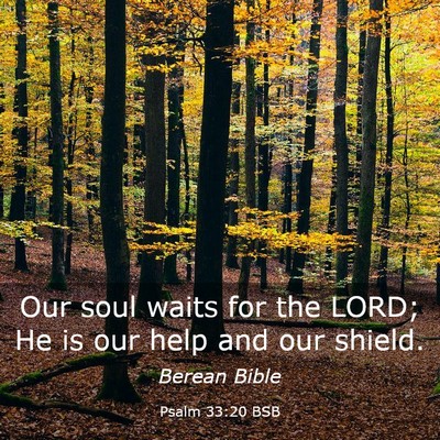 Picture 03 - Psalm 33:20 BSB - Our soul waits for the LORD; He is our help and - Bible Verse Picture