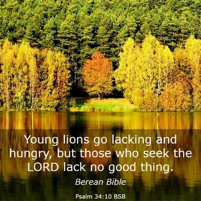 Picture 03 - Psalm 34:10 BSB - Young lions go lacking and hungry, but those who - Bible Verse Picture