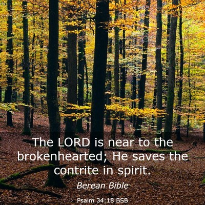 Picture 03 - Psalm 34:18 BSB - The LORD is near to the brokenhearted; He saves - Bible Verse Picture