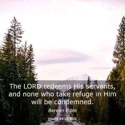 Picture 03 - Psalm 34:22 BSB - The LORD redeems His servants, and none who take - Bible Verse Picture