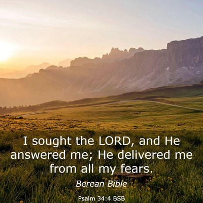 Picture 03 - Psalm 34:4 BSB - I sought the LORD, and He answered me; He - Bible Verse Picture