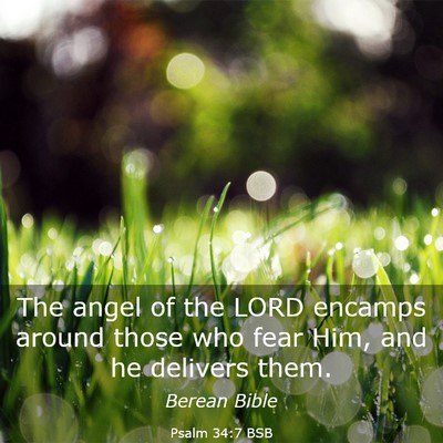 Picture 03 - Psalm 34:7 BSB - The angel of the LORD encamps around those who - Bible Verse Picture