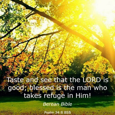 Picture 03 - Psalm 34:8 BSB - Taste and see that the LORD is good; blessed is - Bible Verse Picture