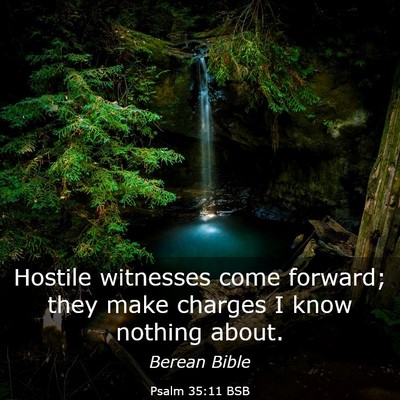 Picture 03 - Psalm 35:11 BSB - Hostile witnesses come forward; they make charges - Bible Verse Picture