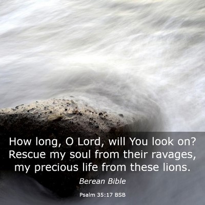 Picture 03 - Psalm 35:17 BSB - How long, O Lord, will You look on? Rescue my - Bible Verse Picture