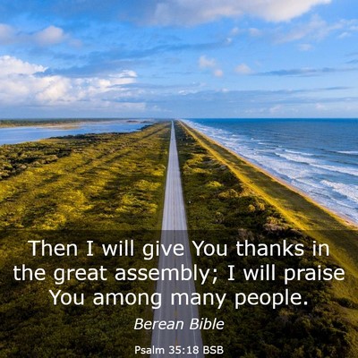Picture 03 - Psalm 35:18 BSB - Then I will give You thanks in the great - Bible Verse Picture