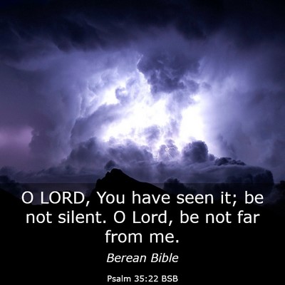 Picture 03 - Psalm 35:22 BSB - O LORD, You have seen it; be not silent. O Lord, - Bible Verse Picture