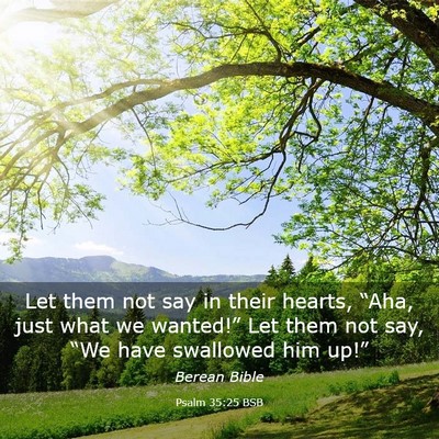 Picture 03 - Psalm 35:25 BSB - Let them not say in their hearts, “Aha, just - Bible Verse Picture