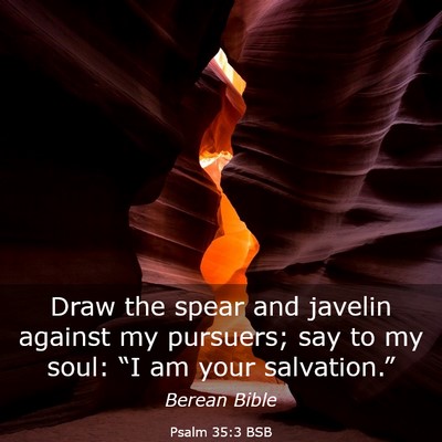 Picture 03 - Psalm 35:3 BSB - Draw the spear and javelin against my pursuers; - Bible Verse Picture