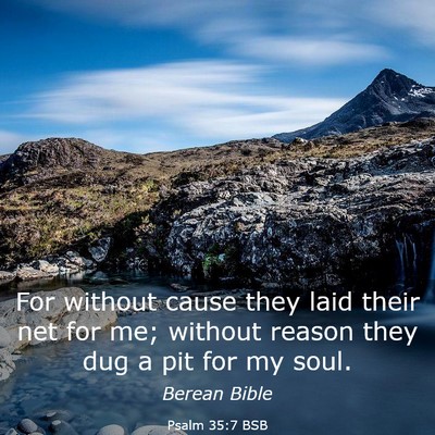 Picture 03 - Psalm 35:7 BSB - For without cause they laid their net for me; - Bible Verse Picture