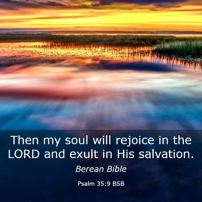 Picture 03 - Psalm 35:9 BSB - Then my soul will rejoice in the LORD and exult - Bible Verse Picture