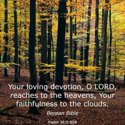 Picture 03 - Psalm 36:5 BSB - Your loving devotion, O LORD, reaches to the - Bible Verse Picture