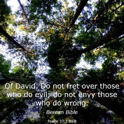 Picture 03 - Psalm 37:1 BSB - Of David. Do not fret over those who do evil; do - Bible Verse Picture
