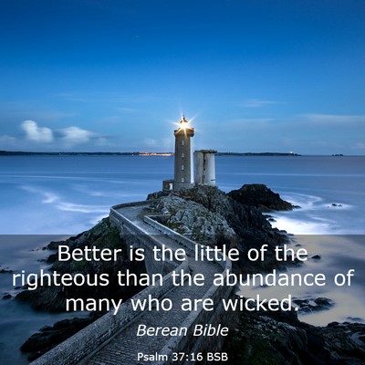 Picture 03 - Psalm 37:16 BSB - Better is the little of the righteous than the - Bible Verse Picture