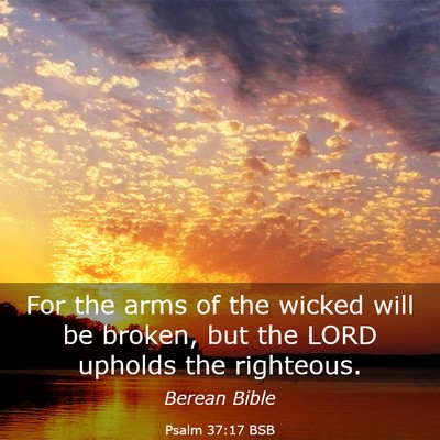 Picture 03 - Psalm 37:17 BSB - For the arms of the wicked will be broken, but - Bible Verse Picture
