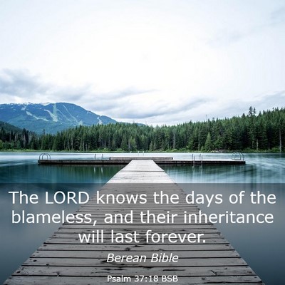 Picture 03 - Psalm 37:18 BSB - The LORD knows the days of the blameless, and - Bible Verse Picture