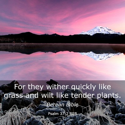 Picture 03 - Psalm 37:2 BSB - For they wither quickly like grass and wilt like - Bible Verse Picture