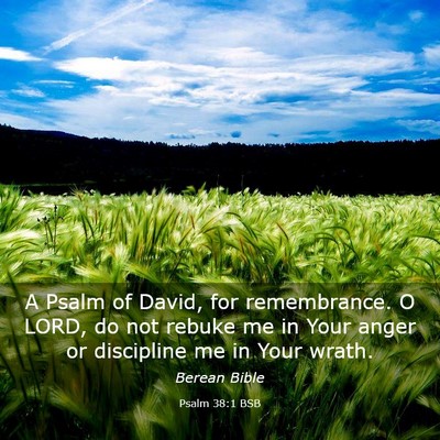 Picture 03 - Psalm 38:1 BSB - A Psalm of David, for remembrance. O LORD, do not - Bible Verse Picture