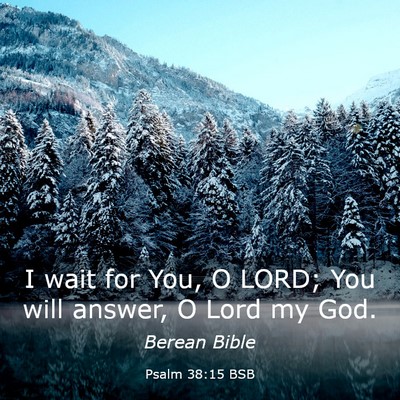 Picture 03 - Psalm 38:15 BSB - I wait for You, O LORD; You will answer, O Lord - Bible Verse Picture
