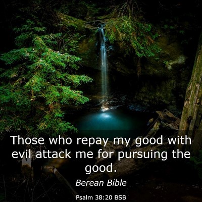 Picture 03 - Psalm 38:20 BSB - Those who repay my good with evil attack me for - Bible Verse Picture