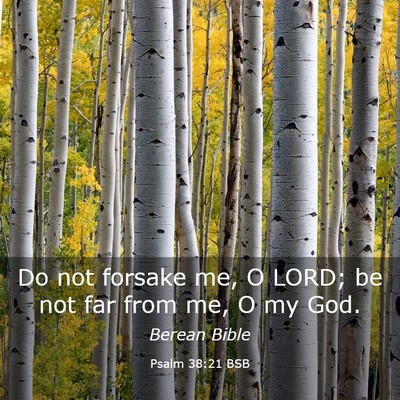 Picture 03 - Psalm 38:21 BSB - Do not forsake me, O LORD; be not far from me, O - Bible Verse Picture