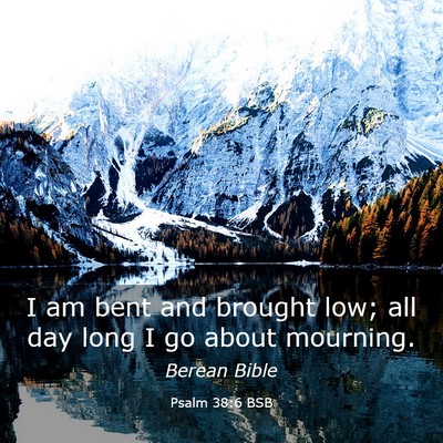 Picture 03 - Psalm 38:6 BSB - I am bent and brought low; all day long I go - Bible Verse Picture