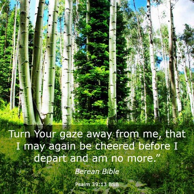Picture 03 - Psalm 39:13 BSB - Turn Your gaze away from me, that I may again be - Bible Verse Picture