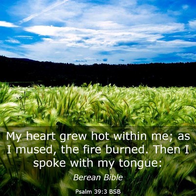 Picture 03 - Psalm 39:3 BSB - My heart grew hot within me; as I mused, the fire - Bible Verse Picture