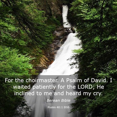Picture 03 - Psalm 40:1 BSB - For the choirmaster. A Psalm of David. I waited - Bible Verse Picture