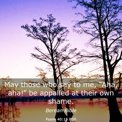 Picture 03 - Psalm 40:15 BSB - May those who say to me, “Aha, aha!” be - Bible Verse Picture