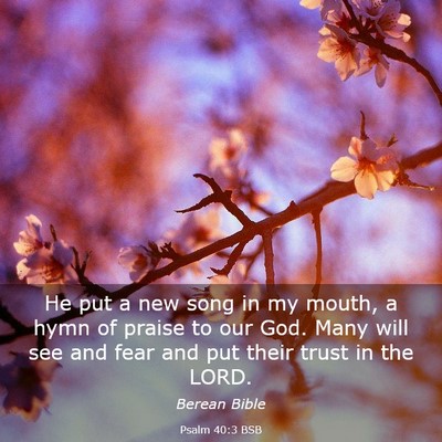 Picture 03 - Psalm 40:3 BSB - He put a new song in my mouth, a hymn of praise - Bible Verse Picture
