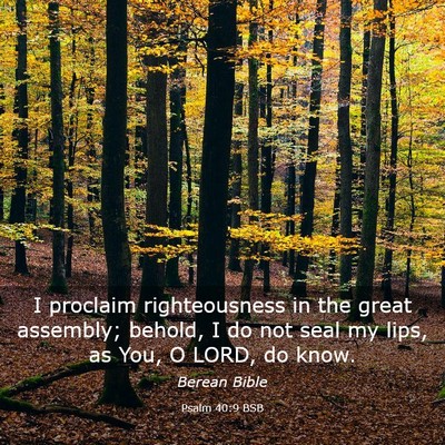 Picture 03 - Psalm 40:9 BSB - I proclaim righteousness in the great assembly; - Bible Verse Picture