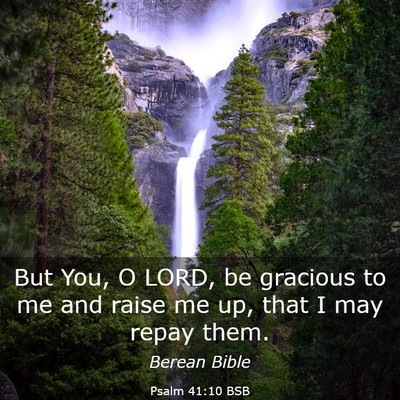 Picture 03 - Psalm 41:10 BSB - But You, O LORD, be gracious to me and raise me - Bible Verse Picture