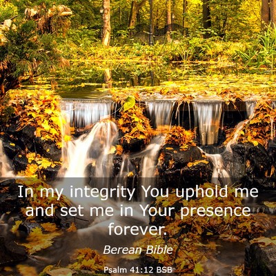Picture 03 - Psalm 41:12 BSB - In my integrity You uphold me and set me in Your - Bible Verse Picture