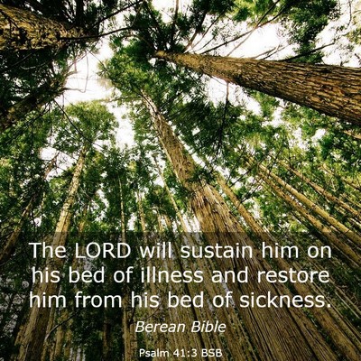 Picture 03 - Psalm 41:3 BSB - The LORD will sustain him on his bed of illness - Bible Verse Picture