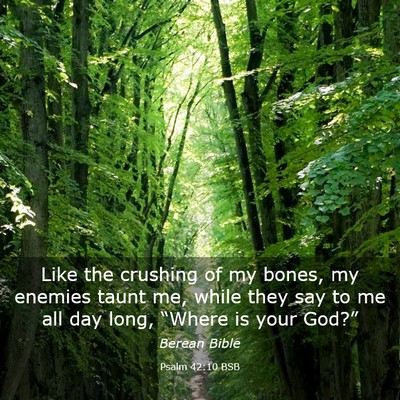 Picture 03 - Psalm 42:10 BSB - Like the crushing of my bones, my enemies taunt - Bible Verse Picture