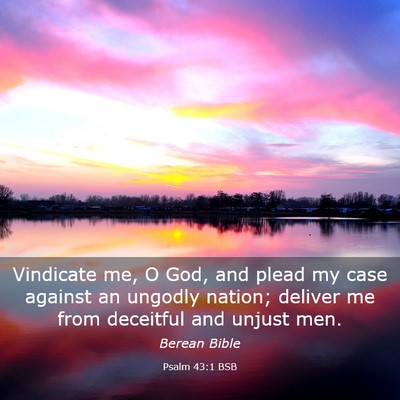 Picture 03 - Psalm 43:1 BSB - Vindicate me, O God, and plead my case against an - Bible Verse Picture