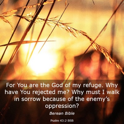 Picture 03 - Psalm 43:2 BSB - For You are the God of my refuge. Why have You - Bible Verse Picture