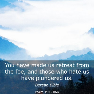 Picture 03 - Psalm 44:10 BSB - You have made us retreat from the foe, and those - Bible Verse Picture